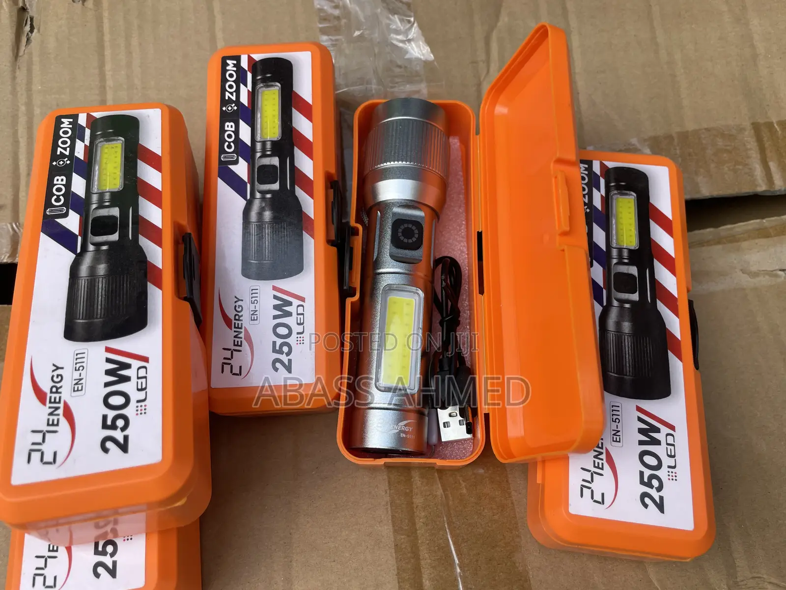 Security Torch Light