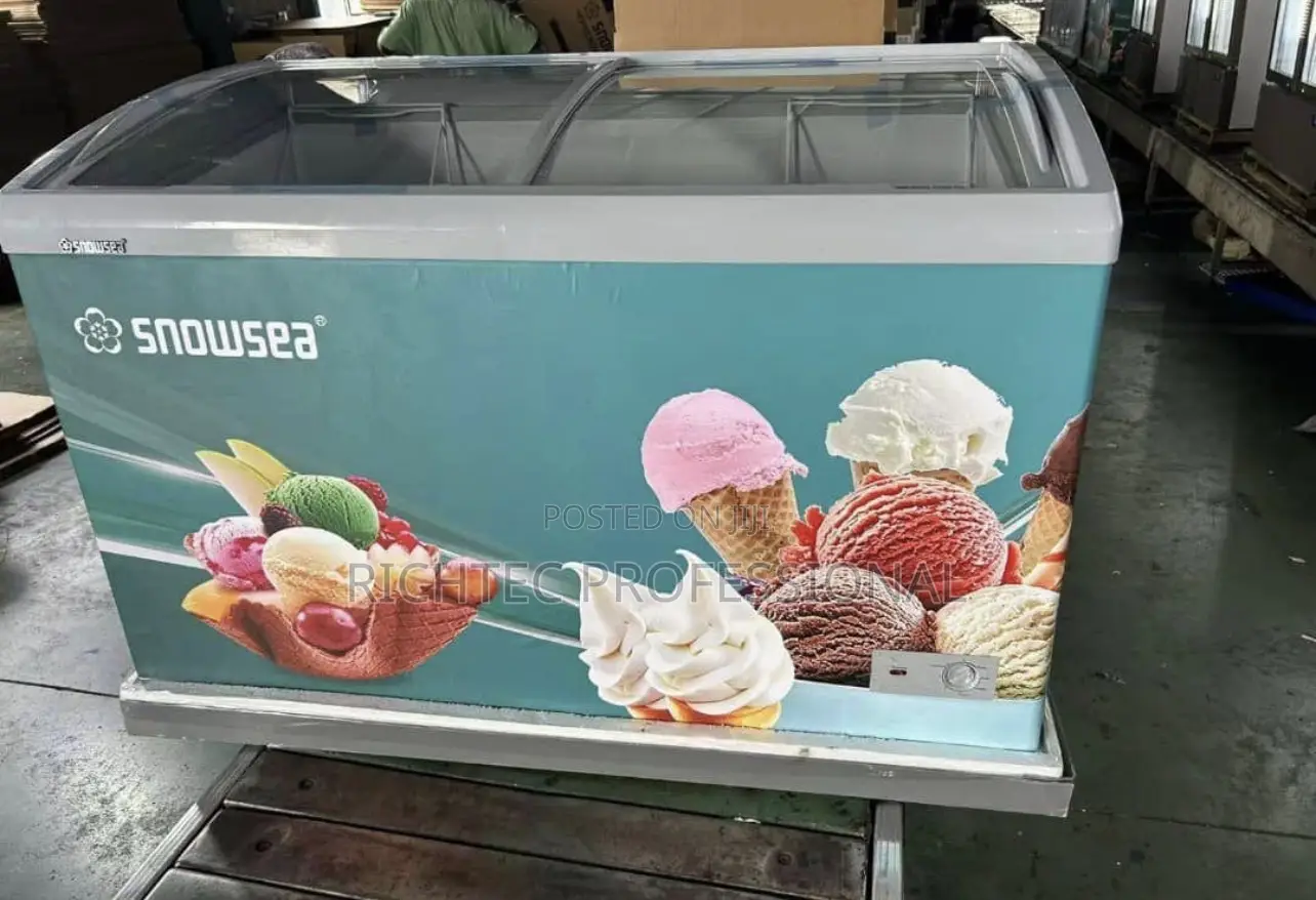 Ice Cream Display Freezer