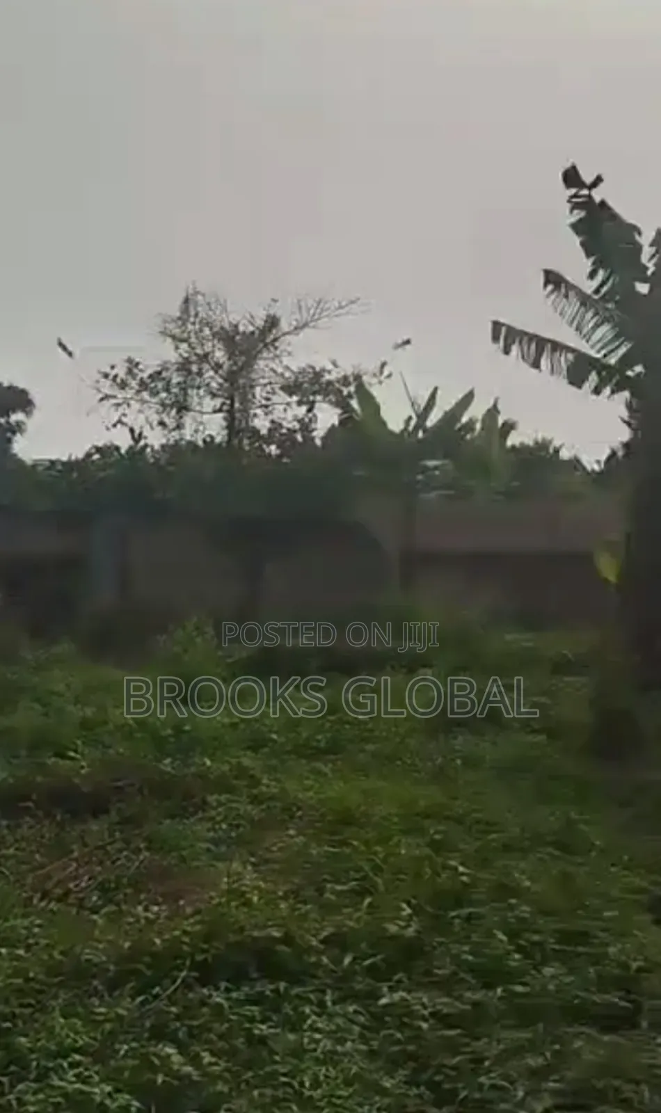 A Plot of Land at Off Falanu Rd, Country Home Rd for Sale