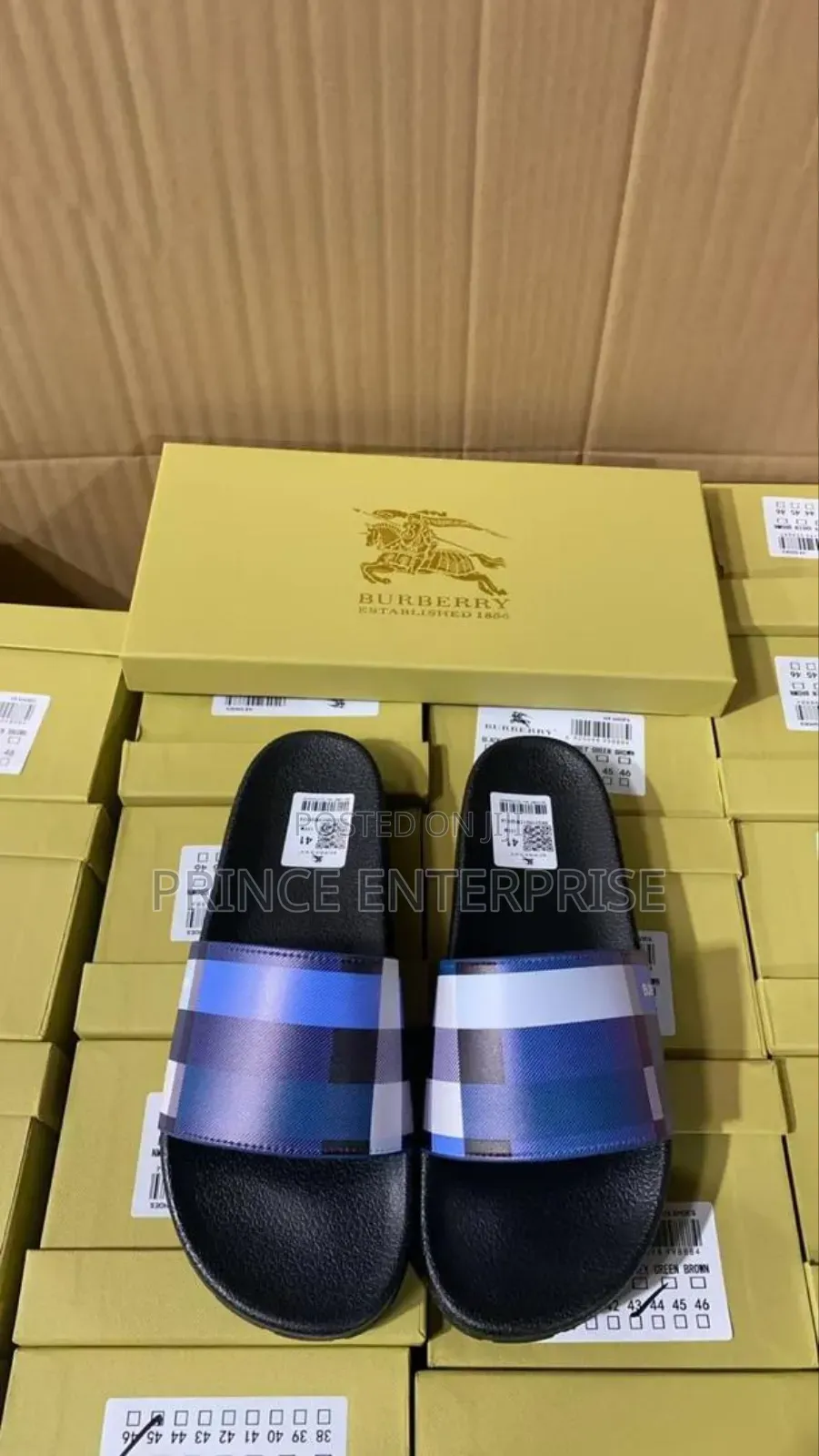 Lacoste Sanders