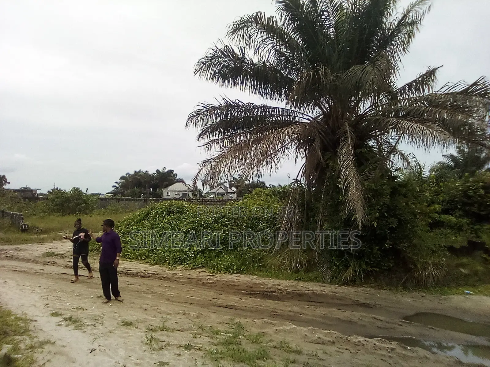 Plot of Land for Sale in Eleko, Ibeju-Lekki