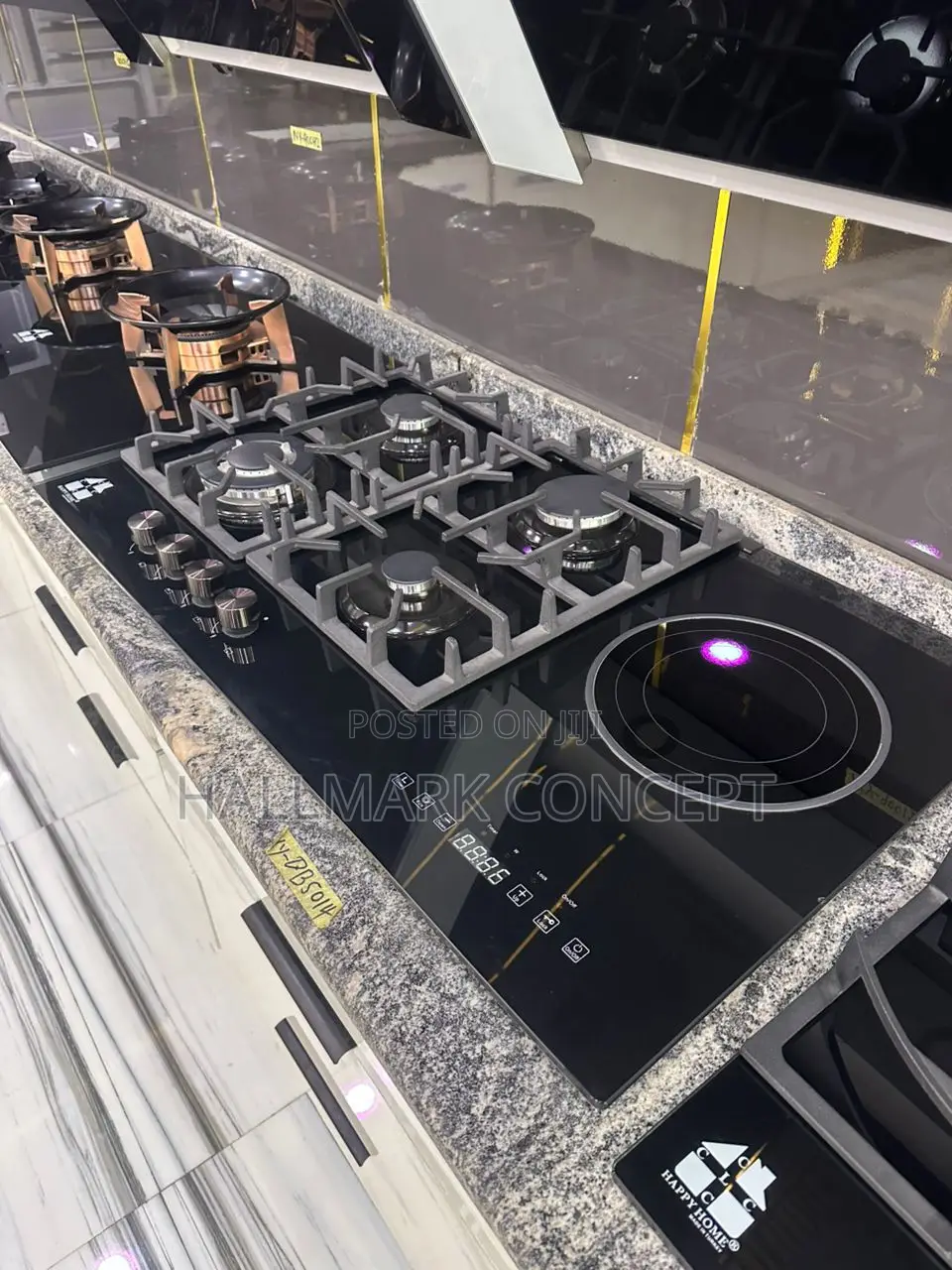 Electric And Gas Oven Inbuilt