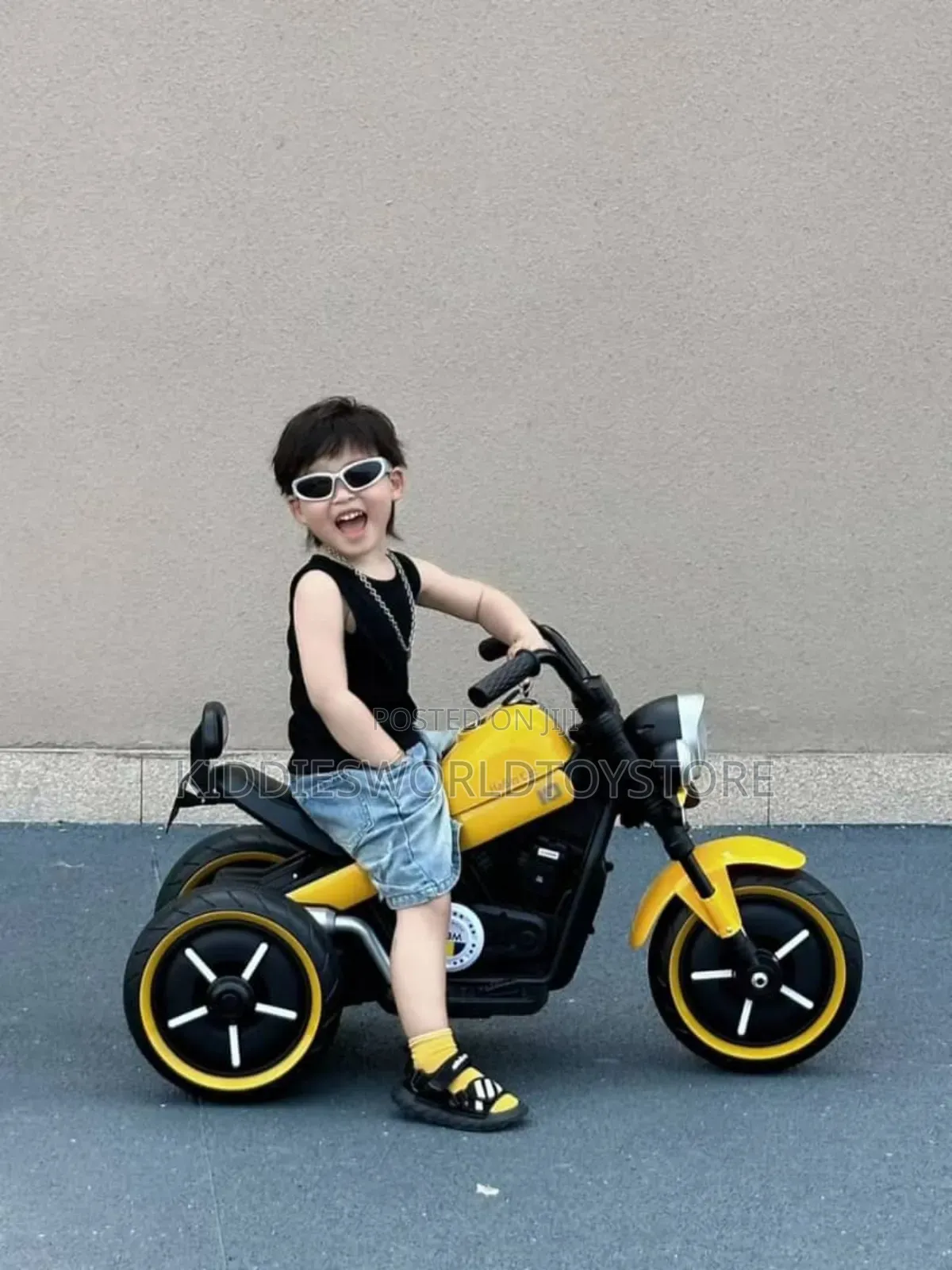 Electric Powered Bike