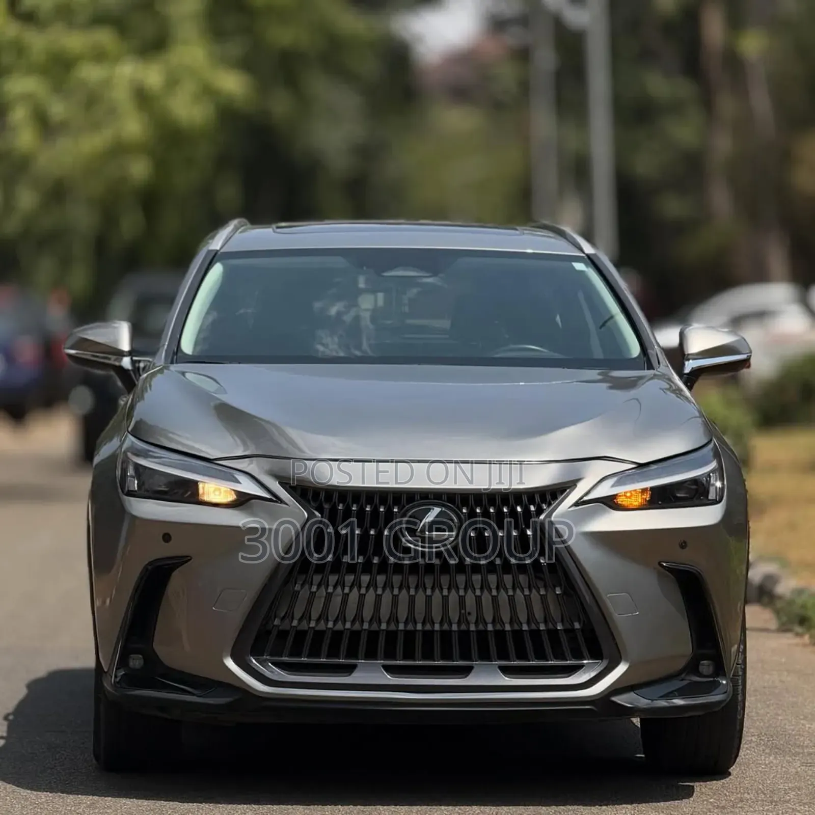 Lexus NX 350 AWD 2024 Gray
