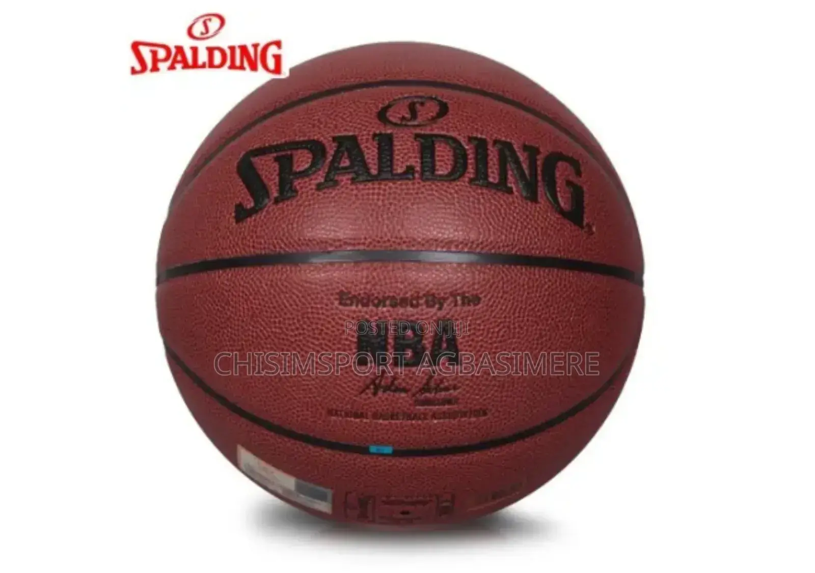Professional Basketball