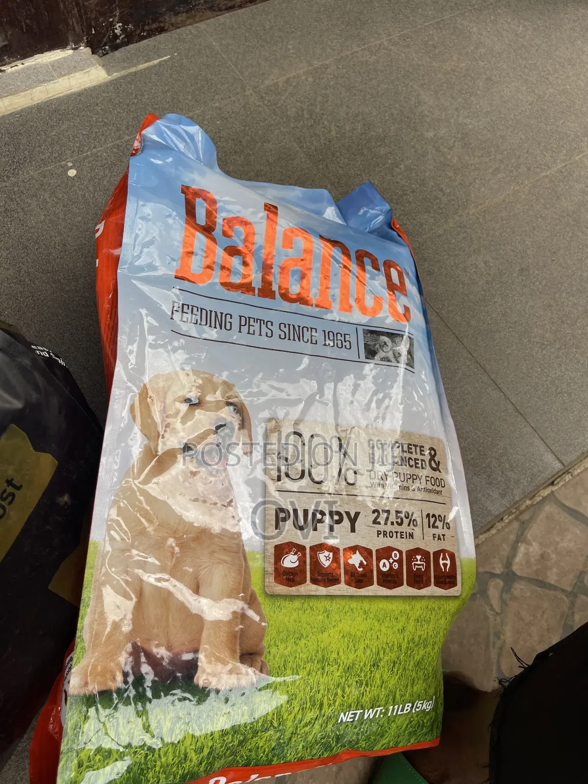 Balance Puppy 5kg