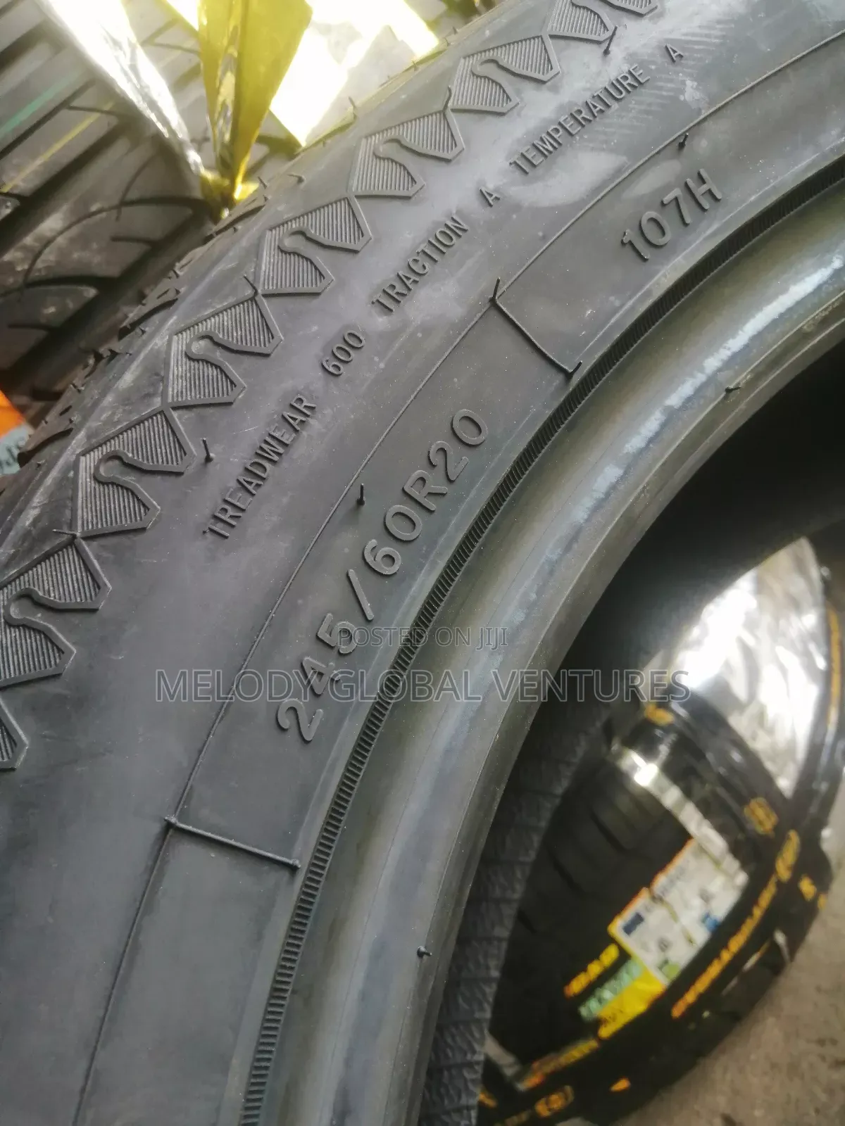 245/60r20 Sailun Tyre