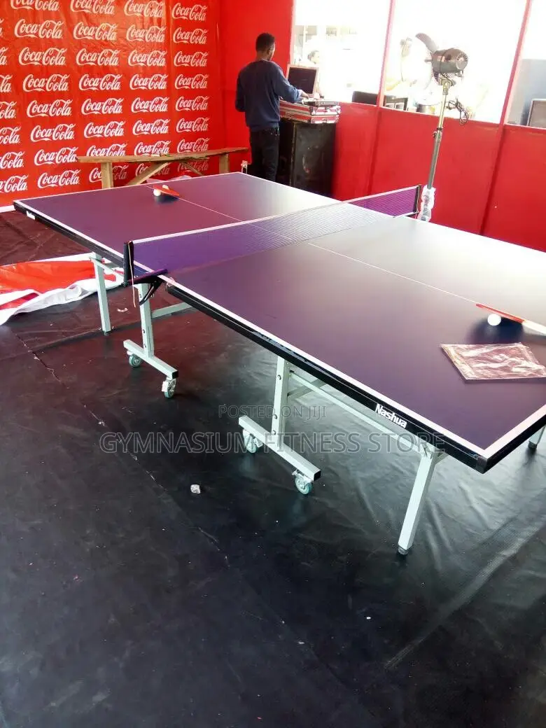 Indoor Table Tennis Ffh