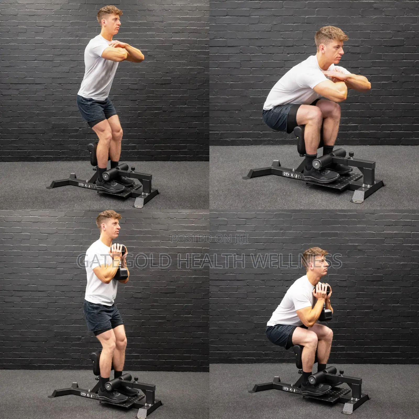 Sissy Squat DFT-1269a