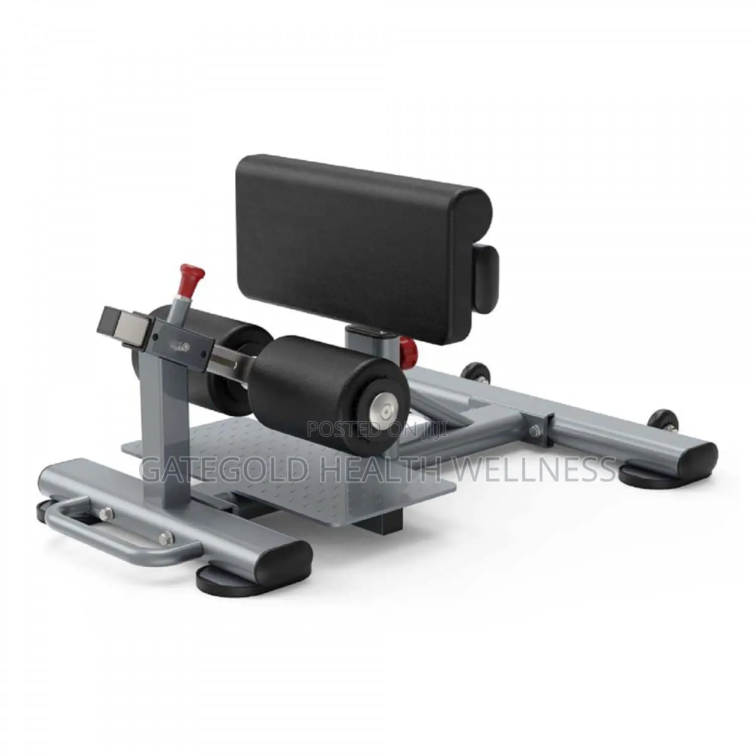 Sissy Squat DFT-1269a