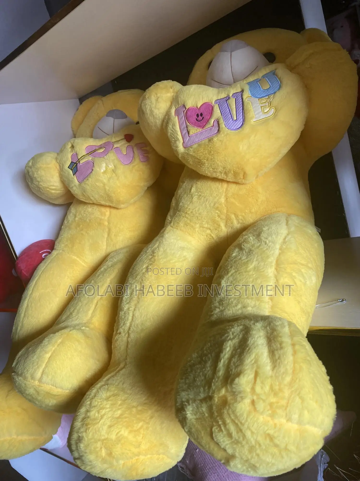 Adult Teddy Bear