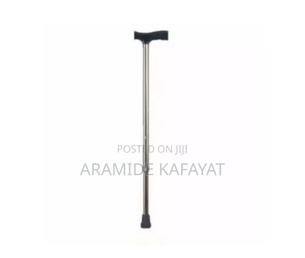Walking Stick
