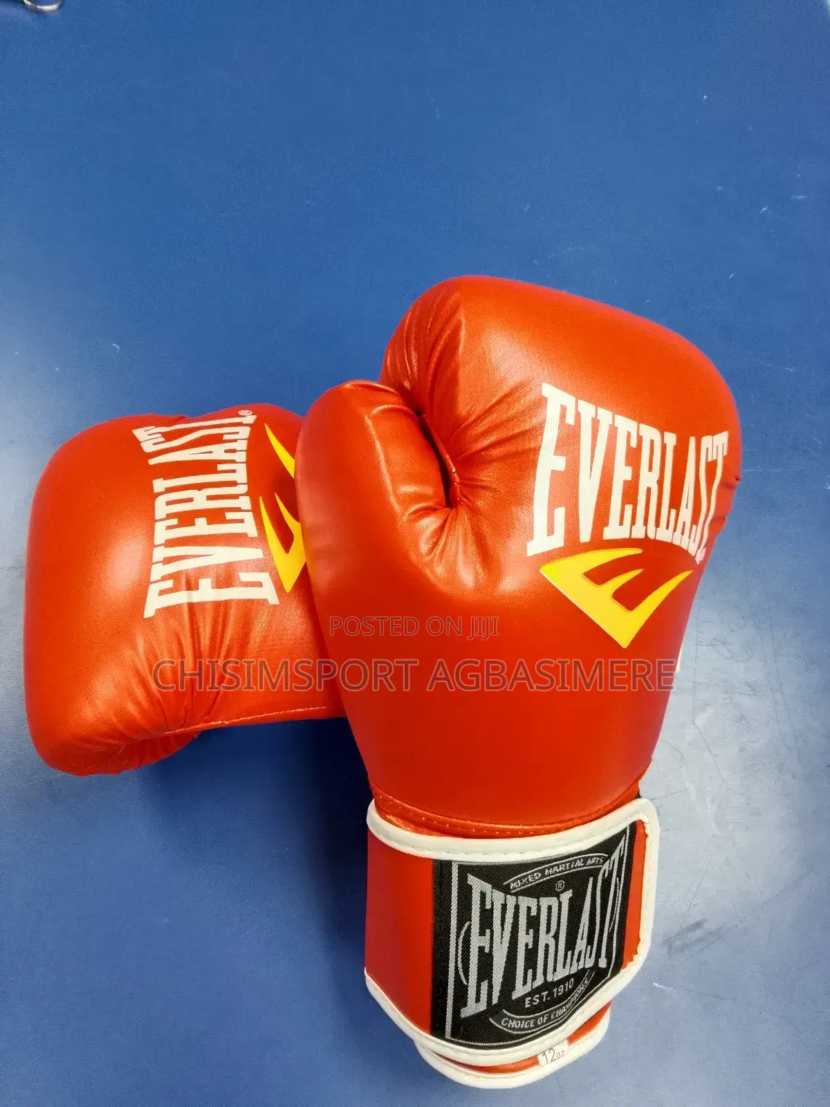 Everlast Boxing Glove