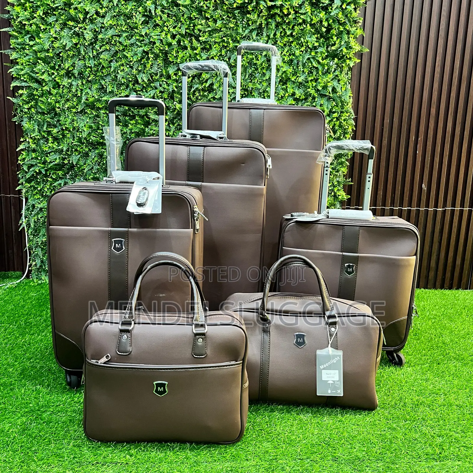 Own 6-Piece Coordinated Luggage Set With Hand-Carry Bags