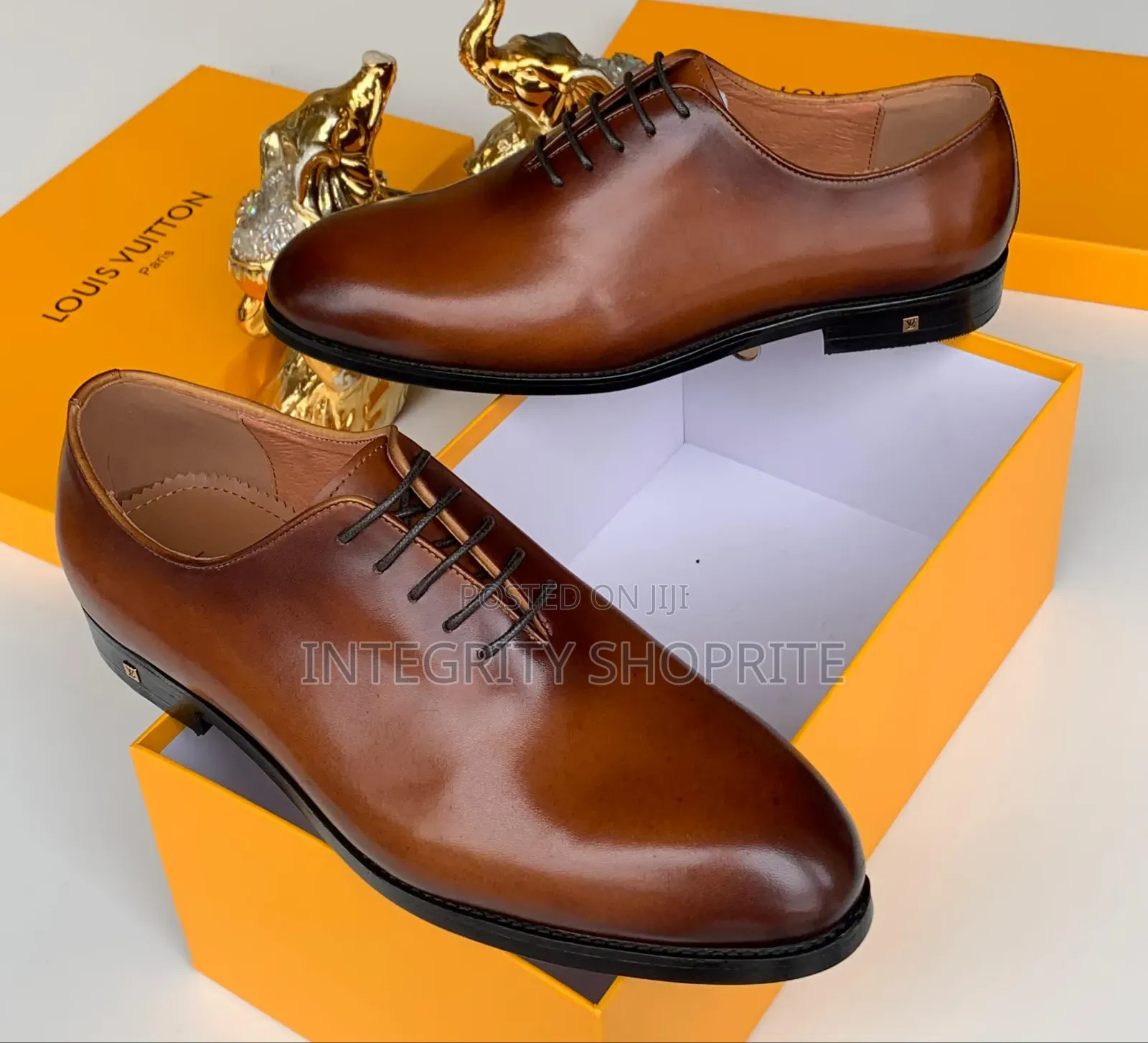 Male Louis Vuitton Loafers