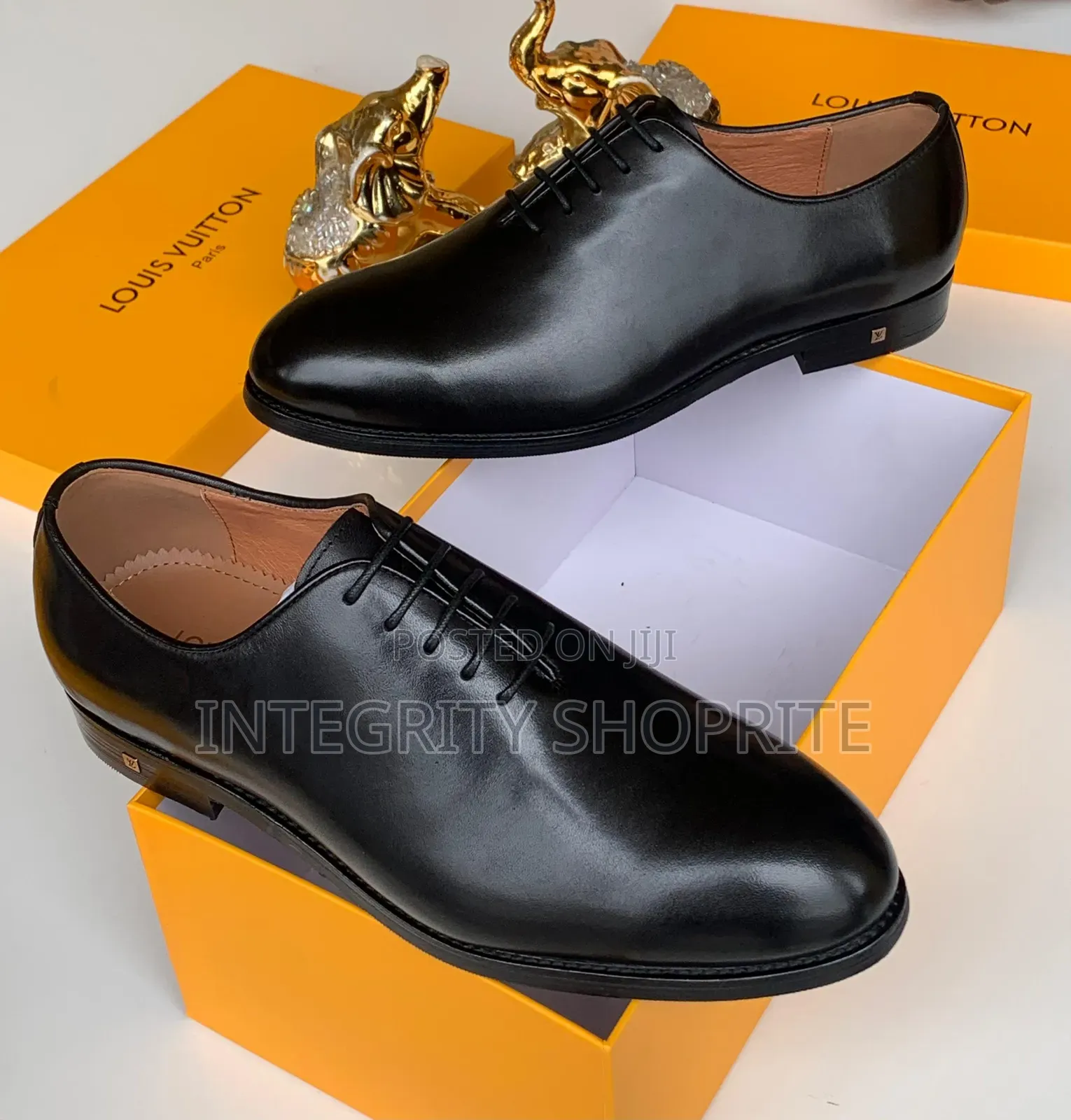 Male Louis Vuitton Loafers