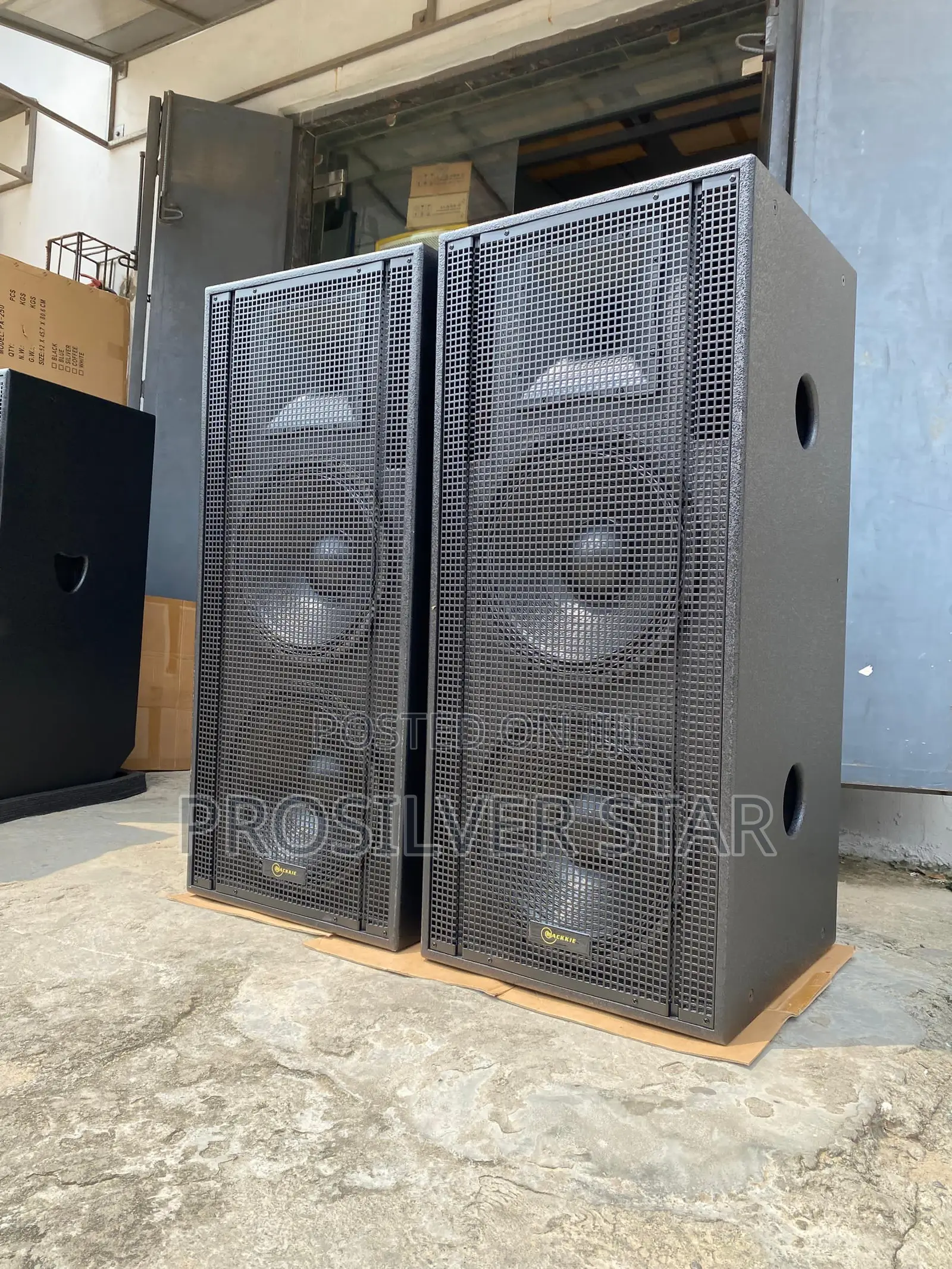 Mackkie 15inches Full Range Double Speaker