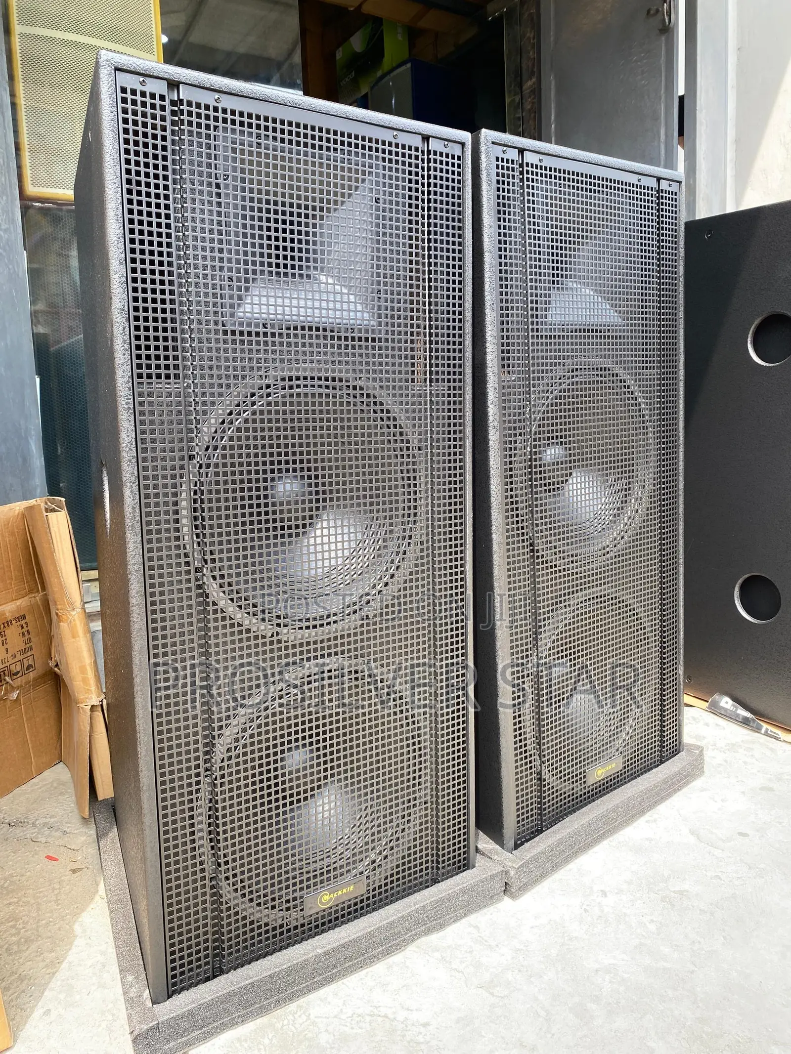 Mackkie 15inches Full Range Double Speaker
