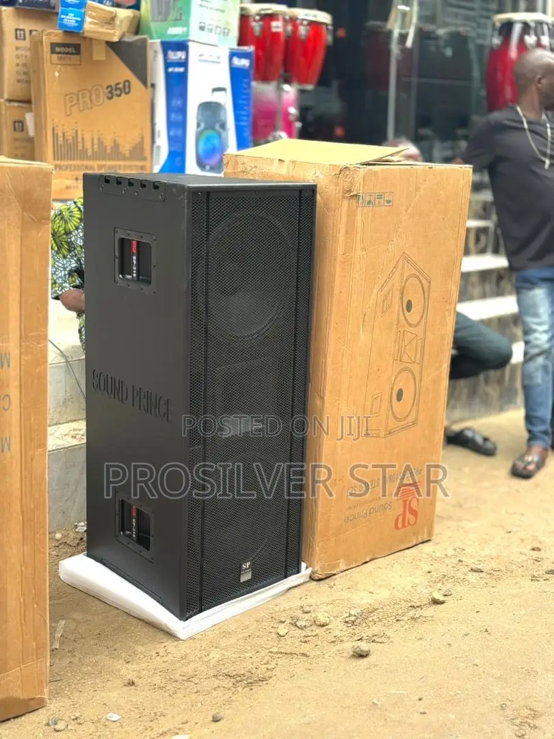 Soundprince Full Range 15inches Double Speaker Sp315