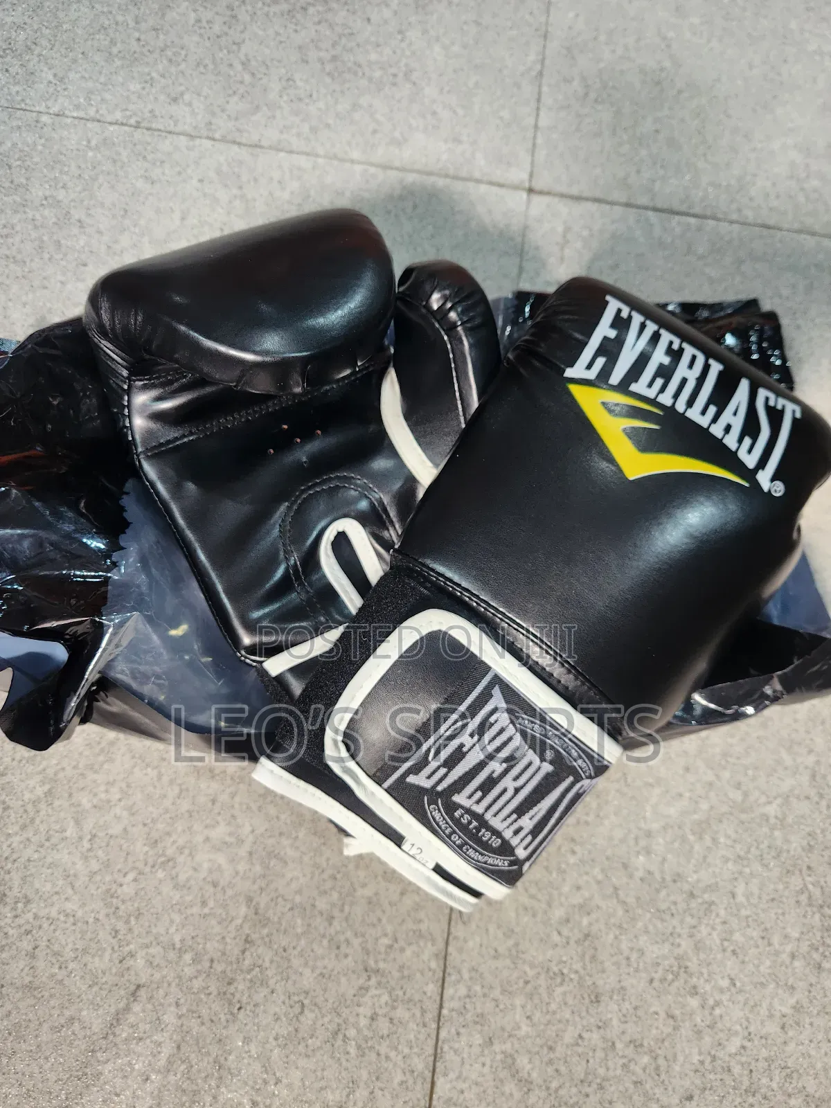 Everlast Boxing Gloves
