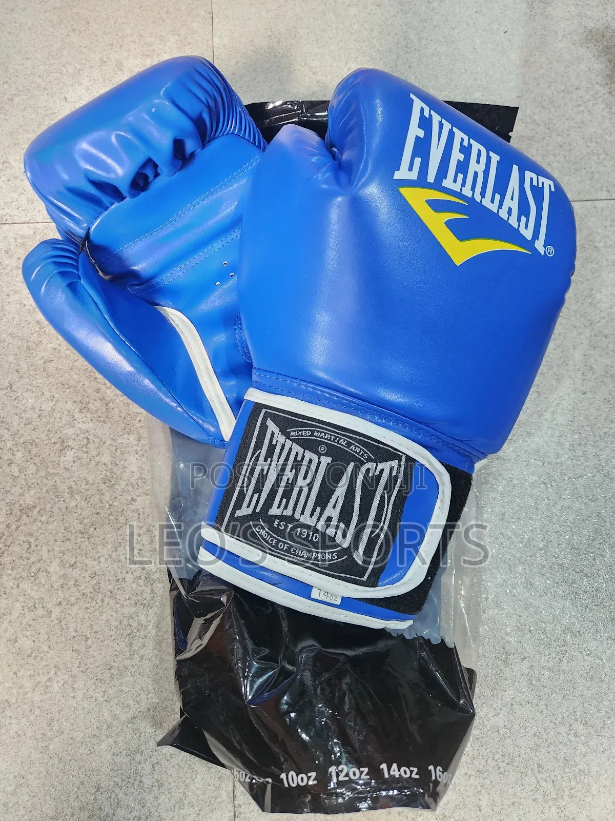 Everlast Boxing Gloves