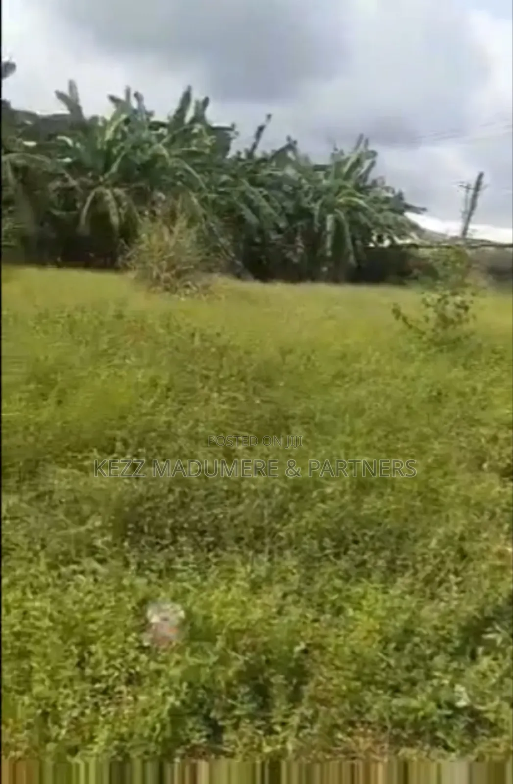 For Sale : 4 1⁄2 Plots Ikwere/ Airport Road, Rukpokwu, Ph