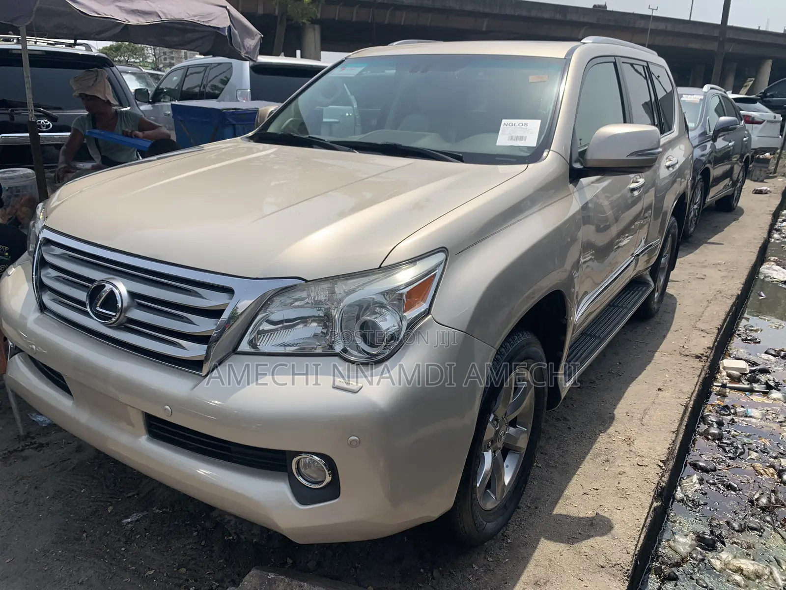 Lexus GX 460 Premium 2013 Gold