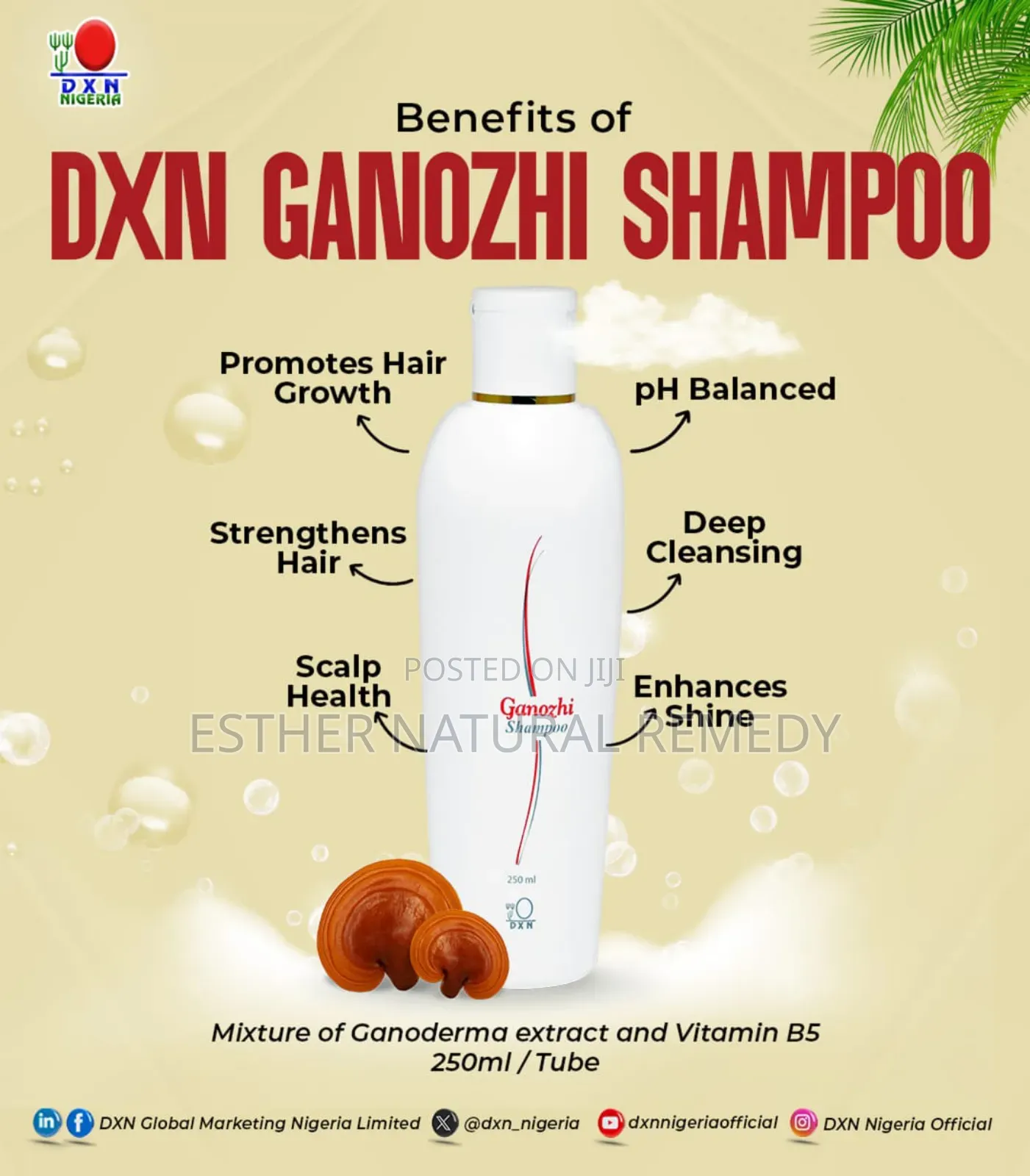 DXN Ganozhi Shampoo