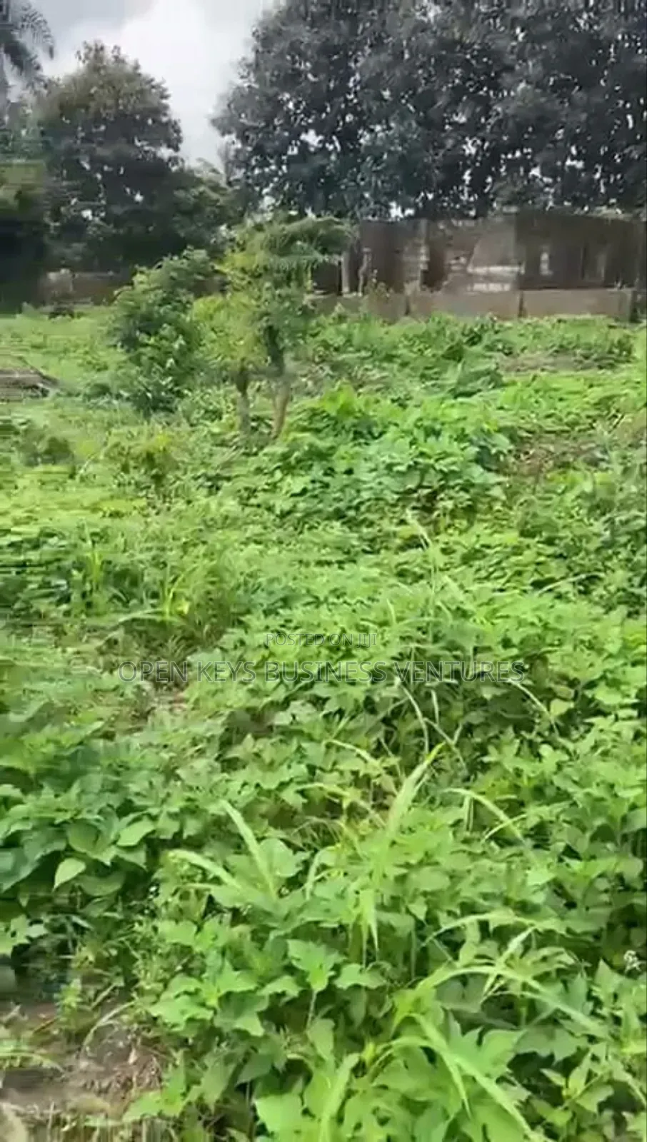 2 Plots in a Good Environment Laniba