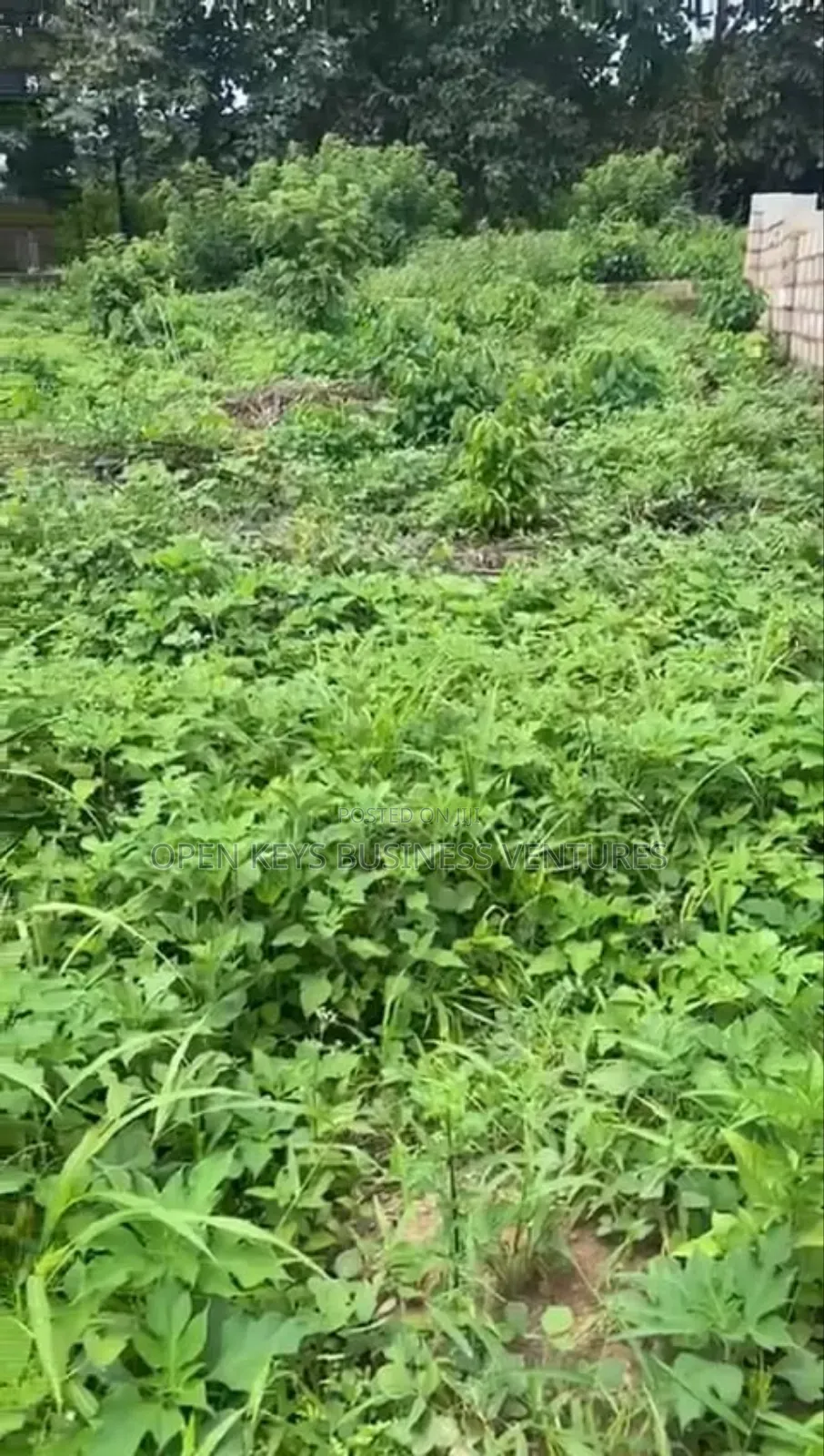2 Plots in a Good Environment Laniba