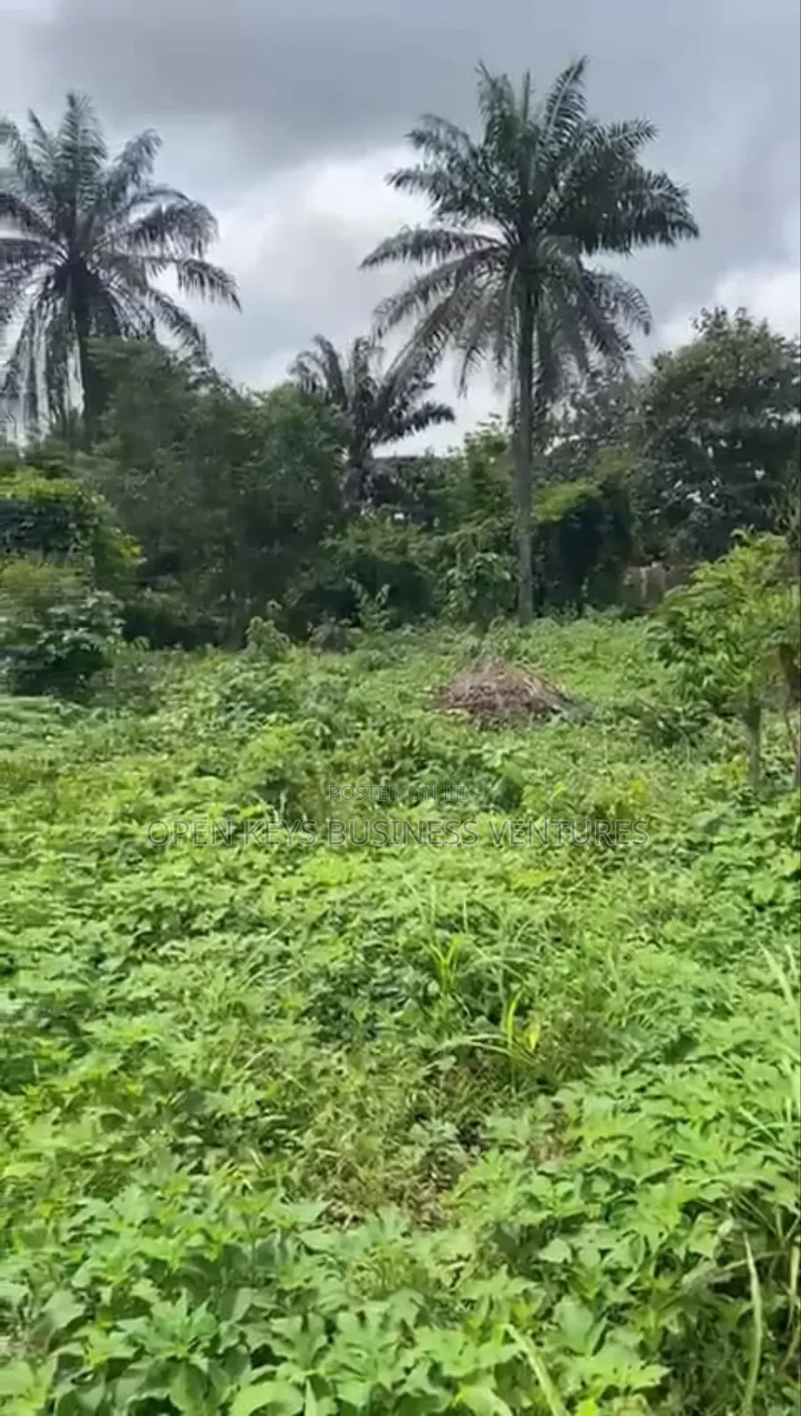 2 Plots in a Good Environment Laniba