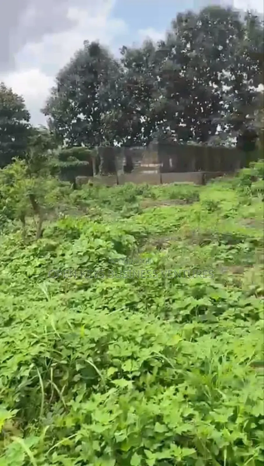 2 Plots in a Good Environment Laniba