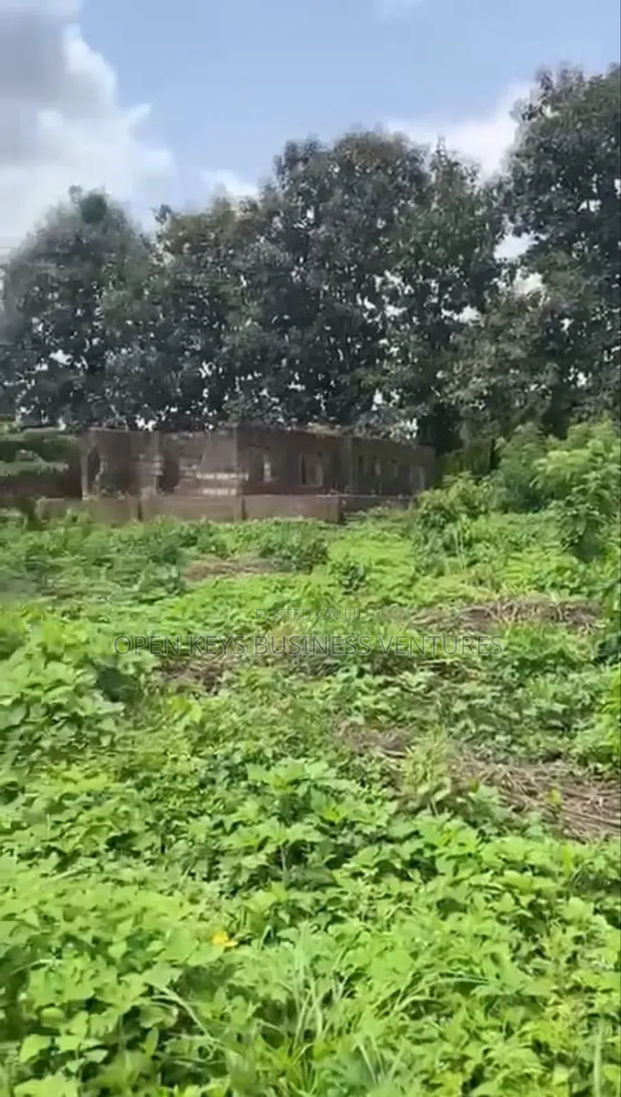 2 Plots in a Good Environment Laniba