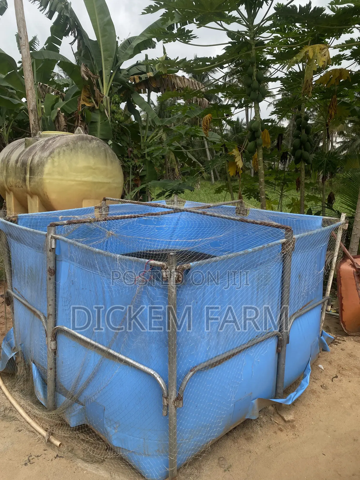 Mobile Fish Pond 6 X 6 X 4ft