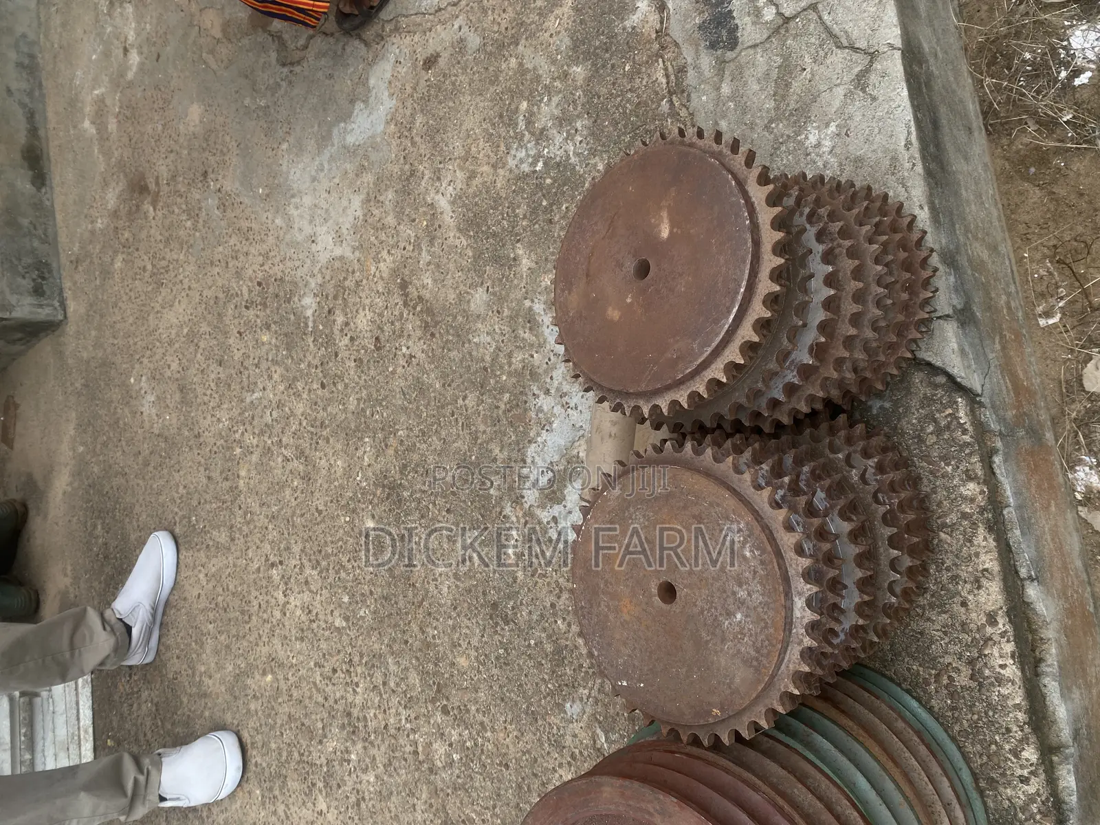Chain Sprocket/Sprocket Gear