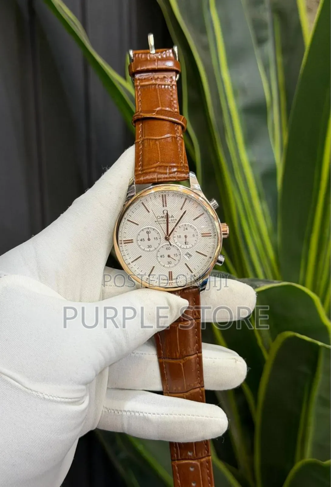 Omega Leather Functional-Chronograph 