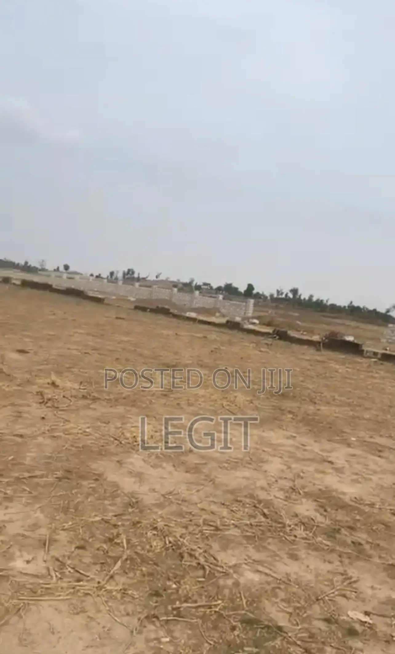 10 Hectares of Land