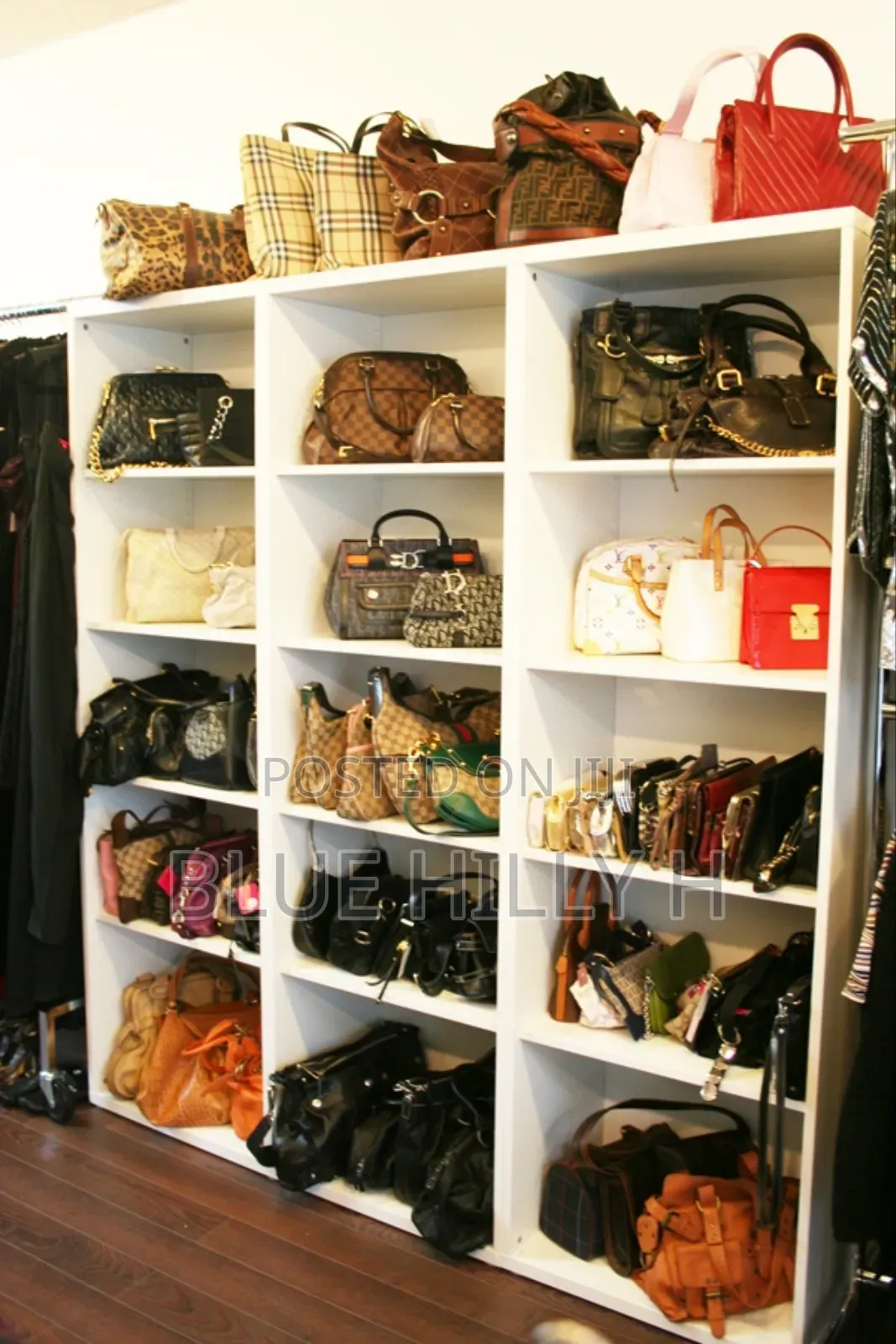 Shoes Bags Organiser