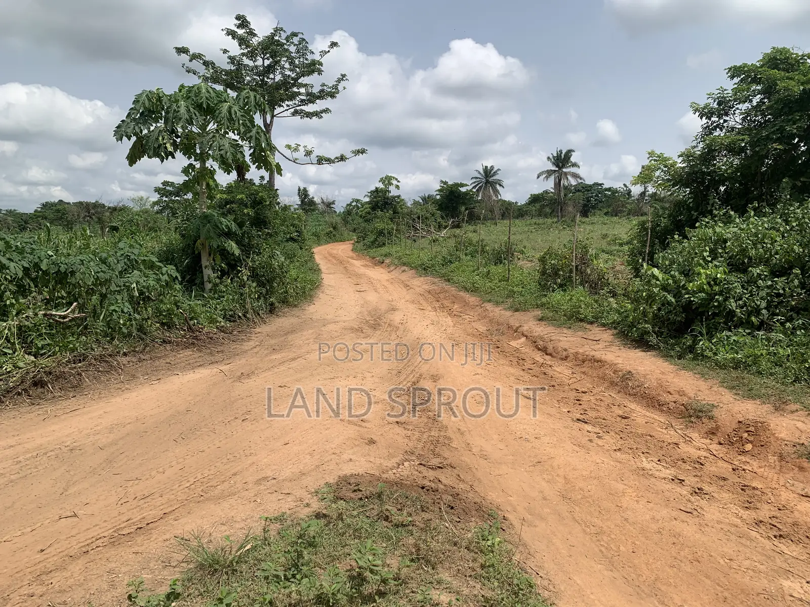 Affordable Land for Land Banking for Sale at Idi-Ayunre, Ibadan