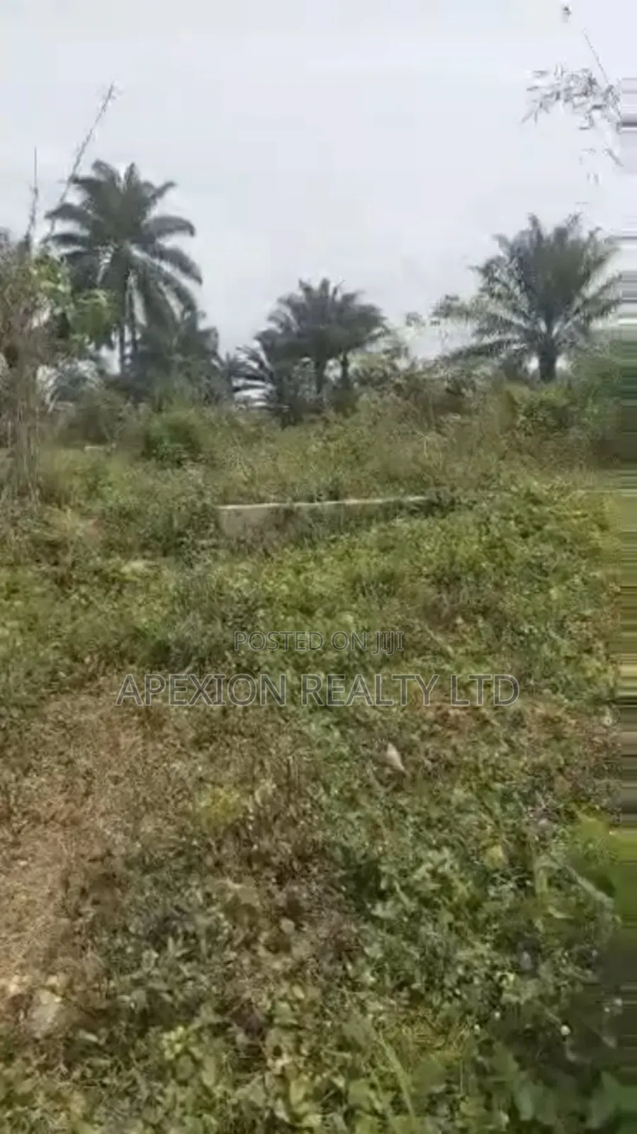 Land for Sale