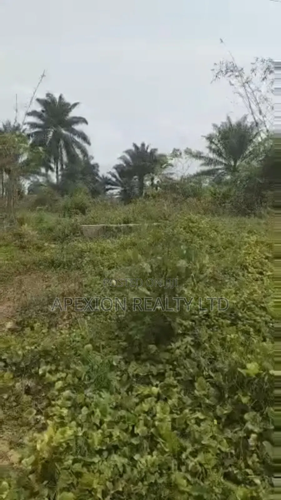 Land for Sale