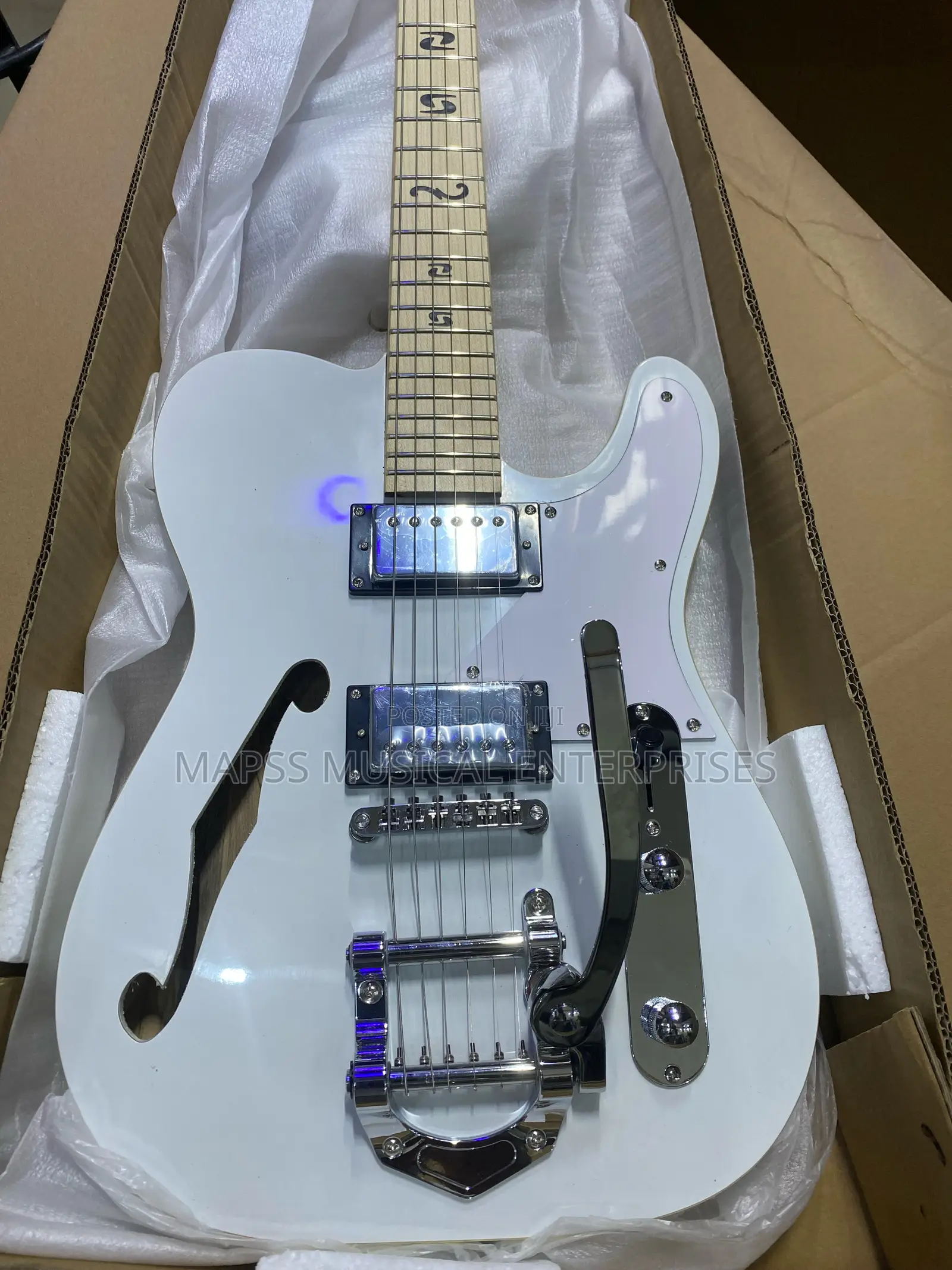 Epiphone Telecaster Yeg 105f Semi-Hollow Body Electric Guitar.