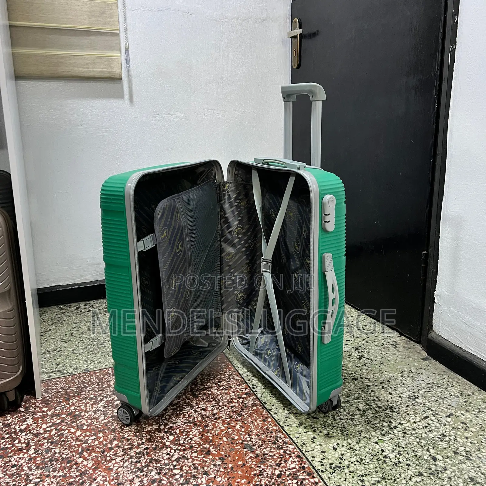 Green Hard-Shell Spinner Suitcase Set (3 Pieces)