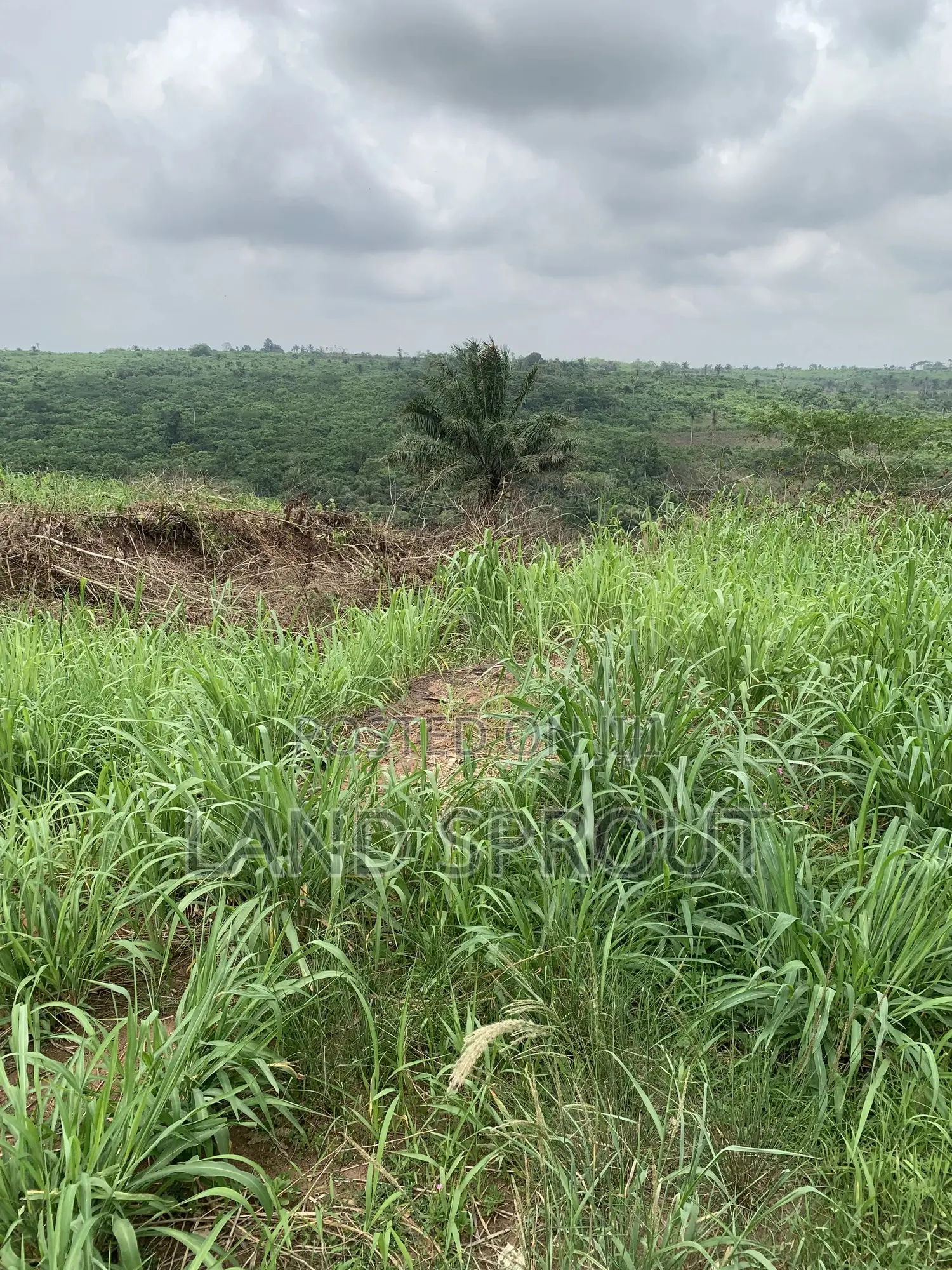 Acres of Farm Land at Obafemi-Owode for Per Acre