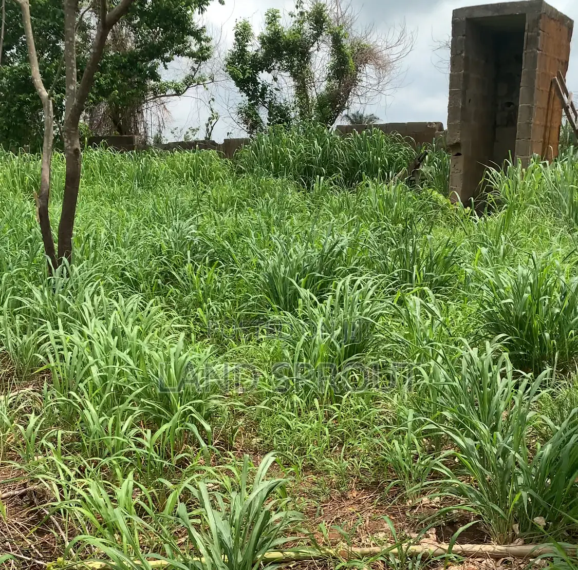 Acres of Farm Land at Obafemi-Owode for Per Acre