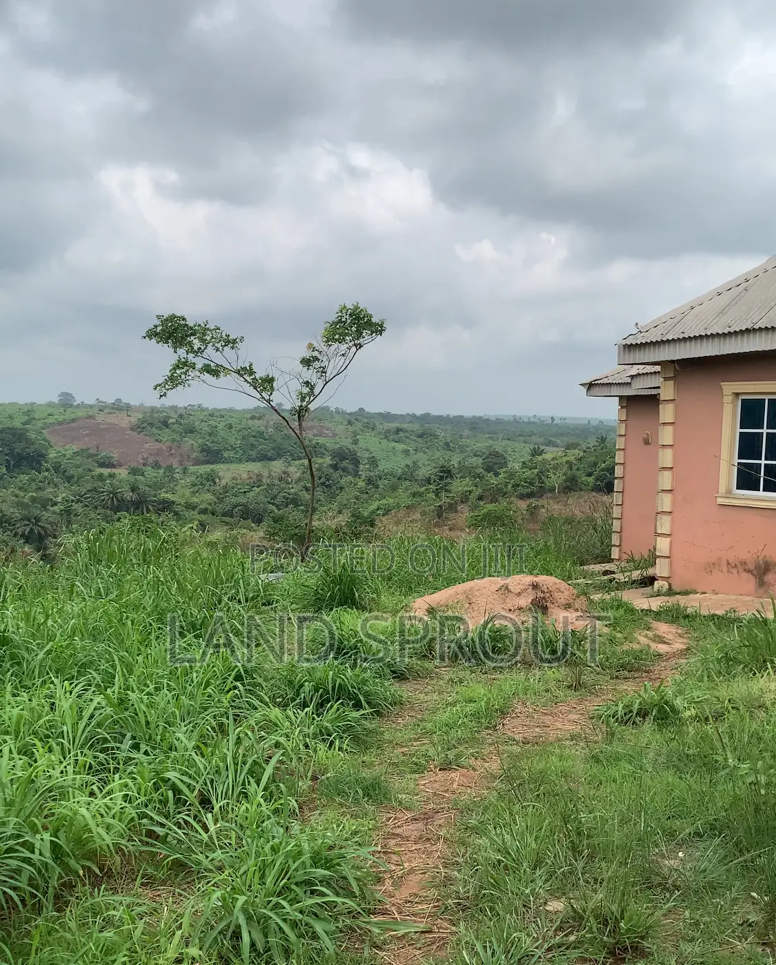 Acres of Farm Land at Obafemi-Owode for Per Acre