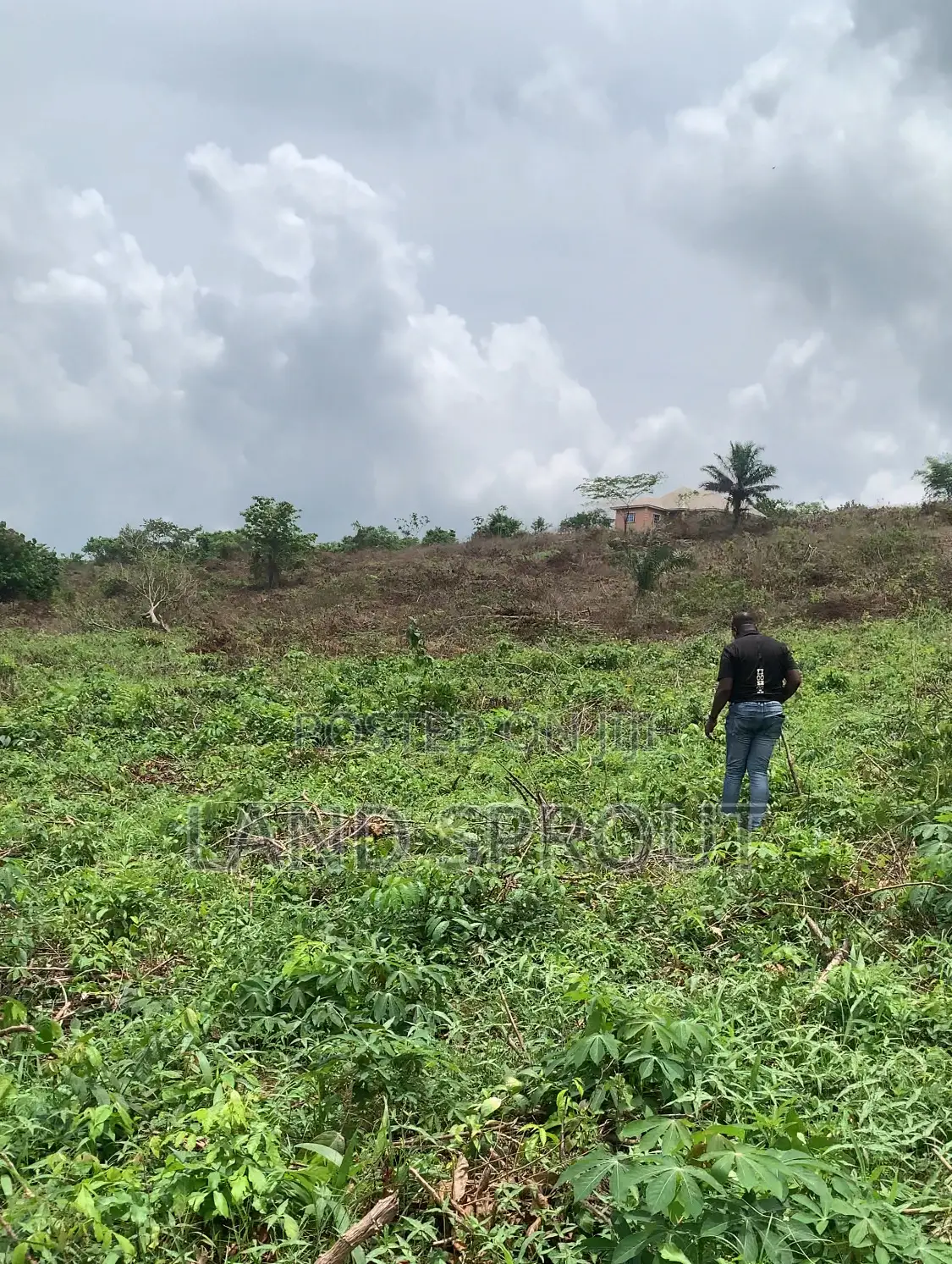 Acres of Farm Land at Obafemi-Owode for Per Acre
