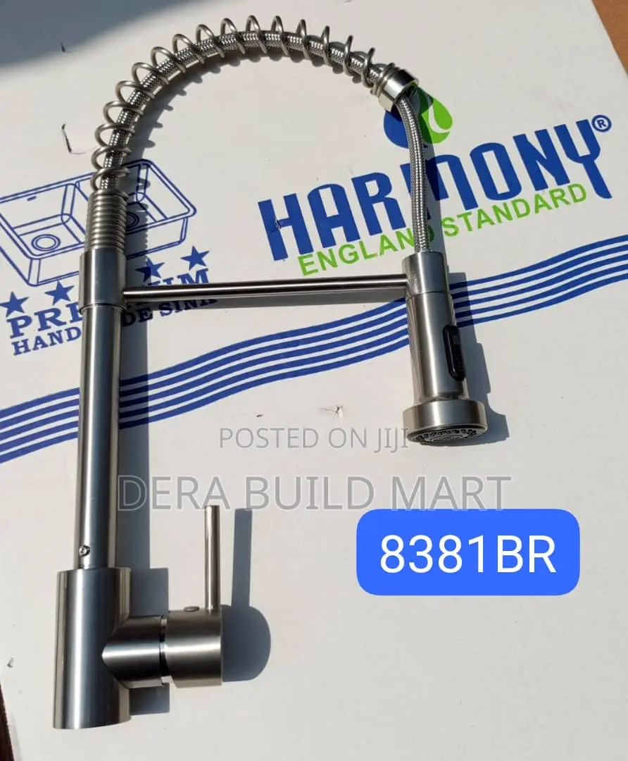 Long Neck Adjustable Kitchen Faucet