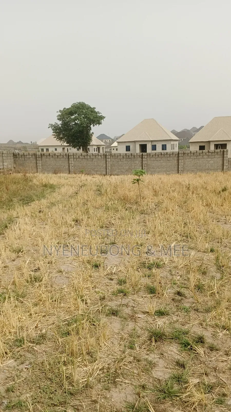 Great Land for Sale 1000sqm.