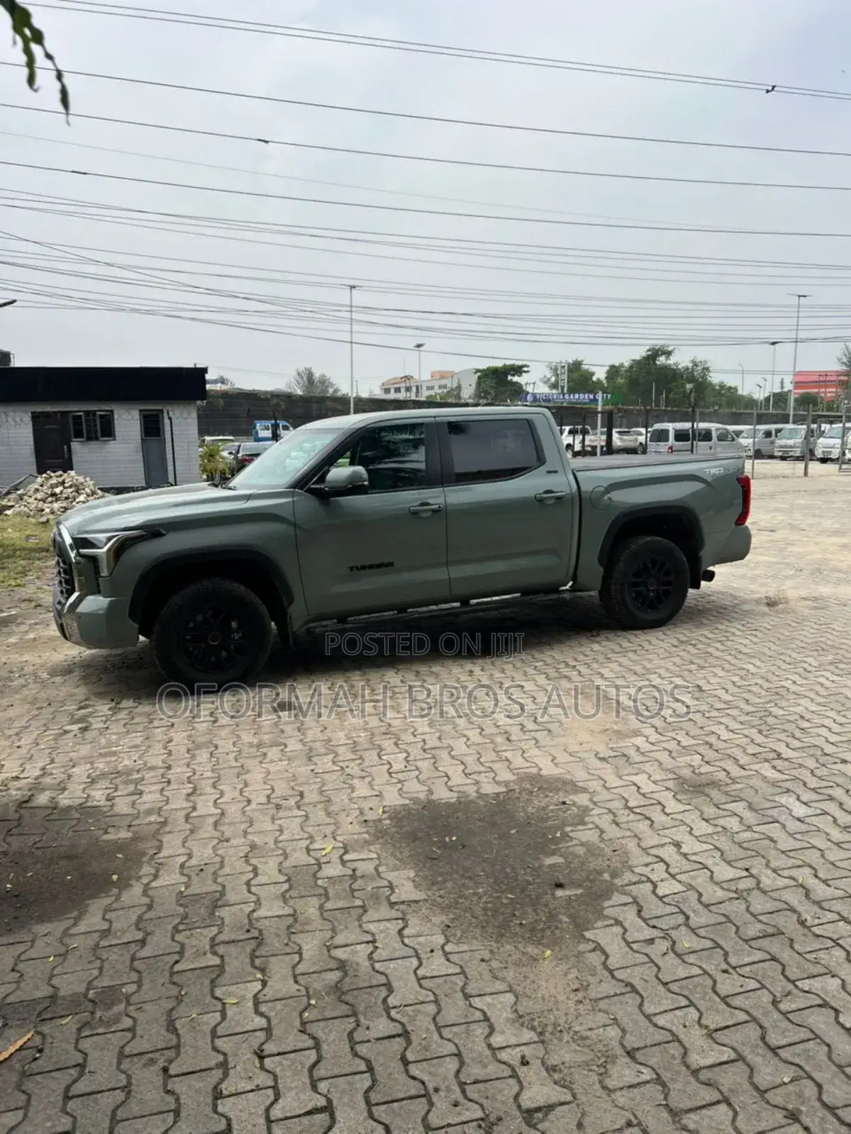 Toyota Tundra SR5 Double Cab 8.1' Bed 2024 Green